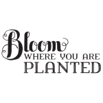 BLOOM WHERE YOU ARE PLANTED CHALK TRANSFER