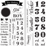 PREGNANCY AND BABY MILESTONES CHALK TRANSFER